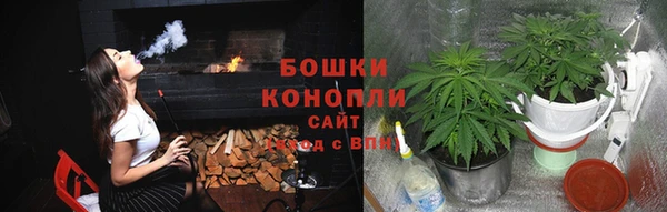гидра Верея