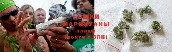 гидра Верея